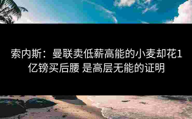 索内斯：曼联卖低薪高能的小麦却花1亿镑买后腰 是高层无能的证明