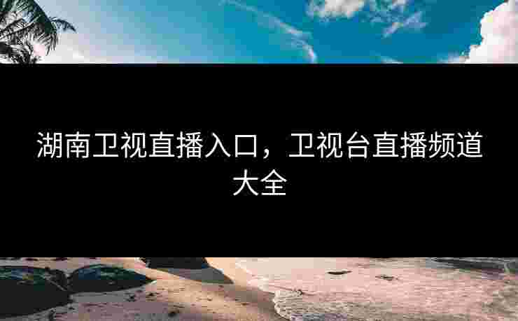 湖南卫视直播入口，卫视台直播频道大全